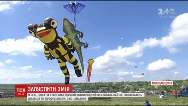 Сотні повітряних зміїв злетіли в небо на Миколаївщині