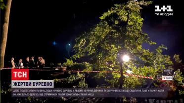 Новости Украины: во Львове двое молодых людей погибли из-за падения ветви во время урагана