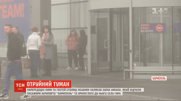 Запах аміаку, який паралізував "Бориспіль", потрапив до аеропорту з поля. Його обробляли аграрії