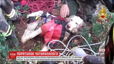 Італійські рятувальники витягли пса із 25-метрової ями