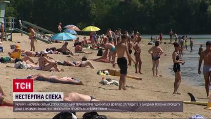 Как спастись от жары: пить побольше воды и искать тень