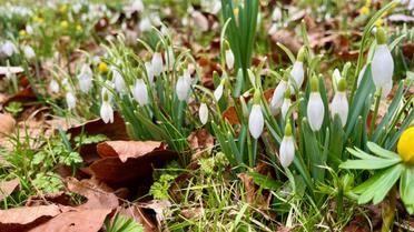 Гороскоп на 27 марта для всех знаков Зодиака Гороскоп на 27 марта для всех знаков Зодиака