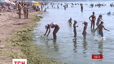 Врачи не советуют купаться в море вблизи Одессы