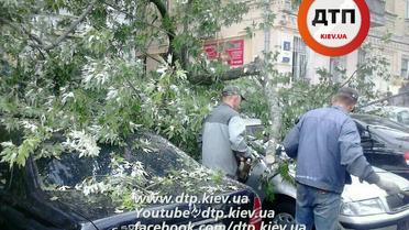 дерево впало на рейтарській_4 / © dtp.kiev.ua