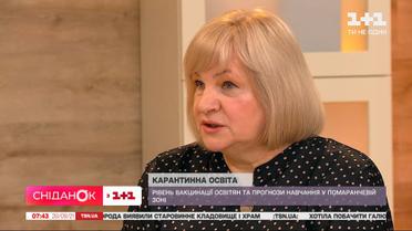 Заступниця міністра освіти Віра Рогова розповіла про освіту в умовах карантину