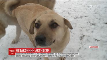 Зоозахисники розтрощили авто комунальників, які перевозили відловлених собак