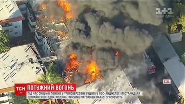 Під час пожежі у житловому комплексі Лос-Анджелеса постраждала людина